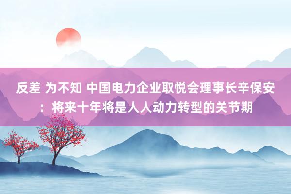 反差 为不知 中国电力企业取悦会理事长辛保安：将来十年将是人人动力转型的关节期