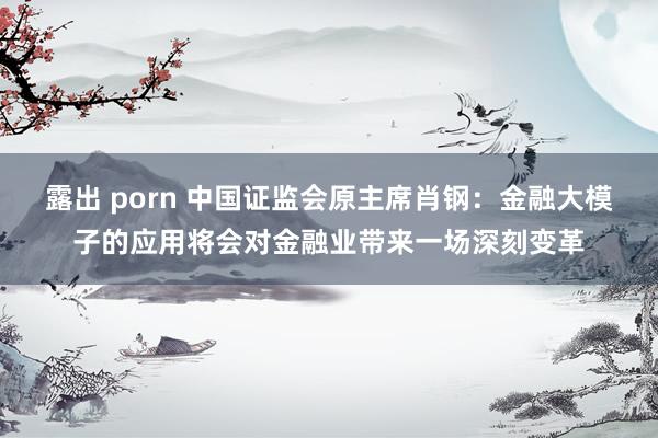 露出 porn 中国证监会原主席肖钢：金融大模子的应用将会对金融业带来一场深刻变革