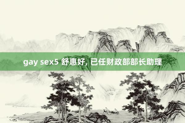 gay sex5 舒惠好, 已任财政部部长助理