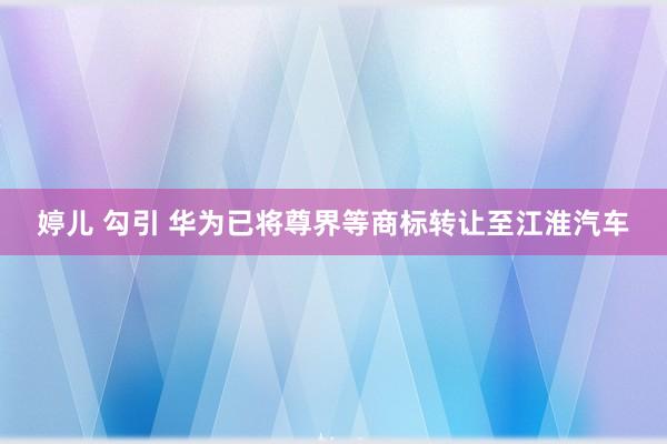 婷儿 勾引 华为已将尊界等商标转让至江淮汽车