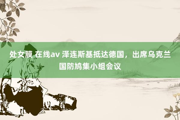 处女膜 在线av 泽连斯基抵达德国，出席乌克兰国防鸠集小组会议