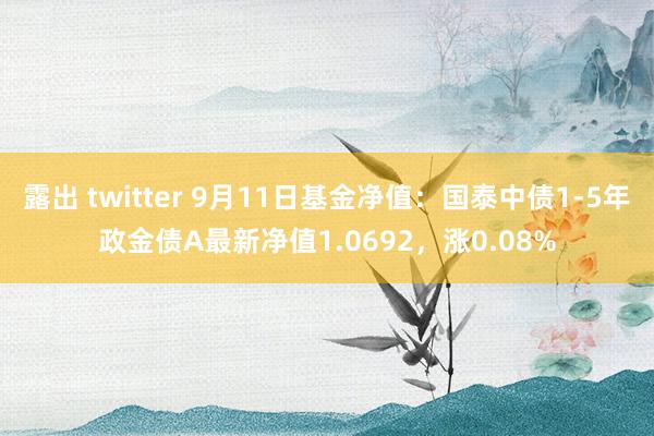 露出 twitter 9月11日基金净值：国泰中债1-5年政金债A最新净值1.0692，涨0.08%