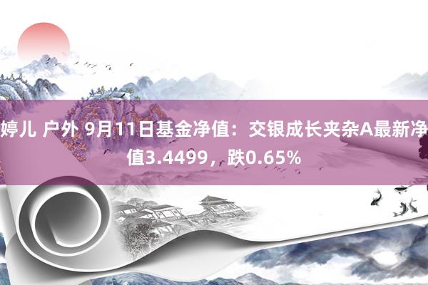 婷儿 户外 9月11日基金净值：交银成长夹杂A最新净值3.4499，跌0.65%