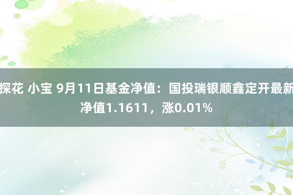 探花 小宝 9月11日基金净值：国投瑞银顺鑫定开最新净值1.1611，涨0.01%