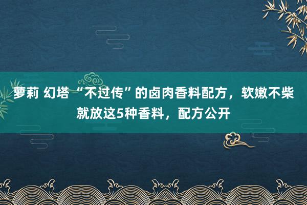 萝莉 幻塔 “不过传”的卤肉香料配方，软嫩不柴就放这5种香料，配方公开