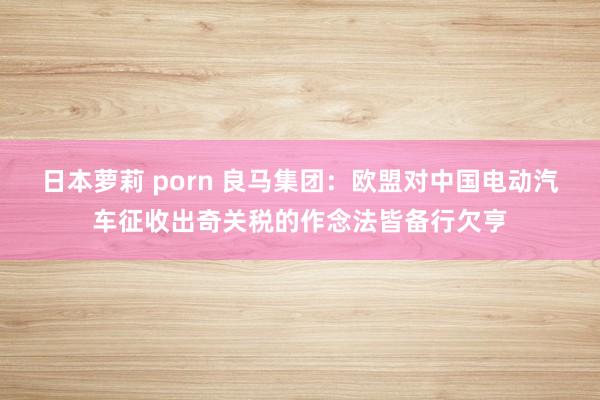 日本萝莉 porn 良马集团：欧盟对中国电动汽车征收出奇关税的作念法皆备行欠亨