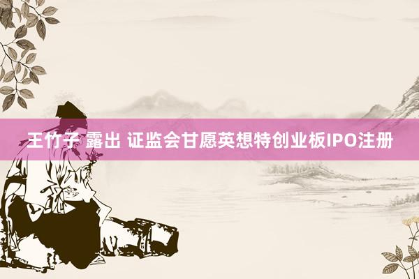 王竹子 露出 证监会甘愿英想特创业板IPO注册