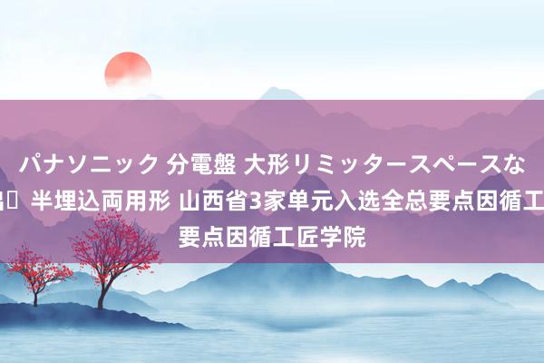 パナソニック 分電盤 大形リミッタースペースなし 露出・半埋込両用形 山西省3家单元入选全总要点因循工匠学院