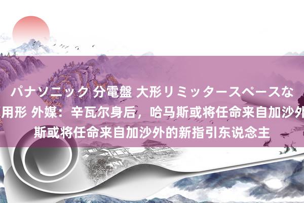 パナソニック 分電盤 大形リミッタースペースなし 露出・半埋込両用形 外媒：辛瓦尔身后，哈马斯或将任命来自加沙外的新指引东说念主