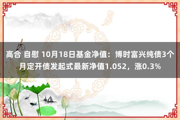 高合 自慰 10月18日基金净值：博时富兴纯债3个月定开债发起式最新净值1.052，涨0.3%