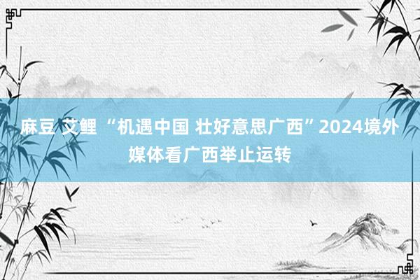 麻豆 艾鲤 “机遇中国 壮好意思广西”2024境外媒体看广西举止运转