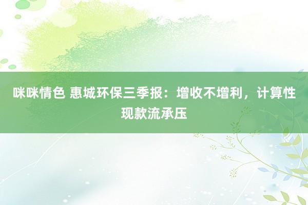 咪咪情色 惠城环保三季报：增收不增利，计算性现款流承压