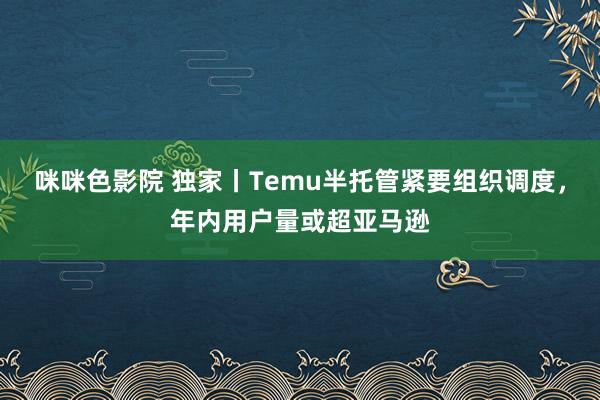 咪咪色影院 独家丨Temu半托管紧要组织调度，年内用户量或超亚马逊