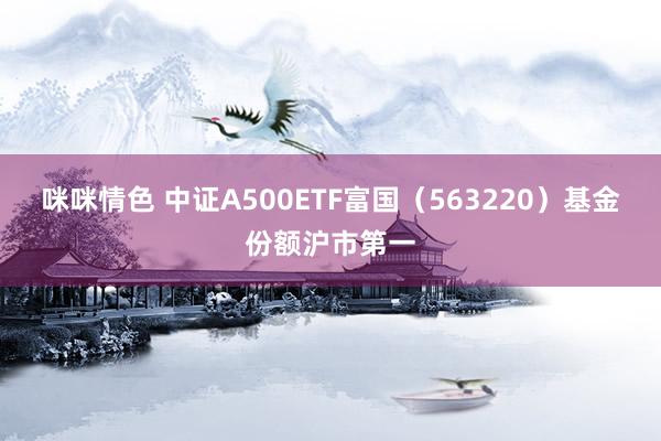 咪咪情色 中证A500ETF富国（563220）基金份额沪市第一