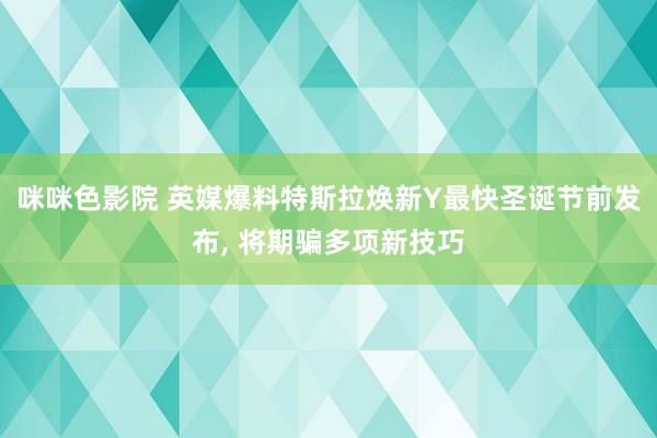 咪咪色影院 英媒爆料特斯拉焕新Y最快圣诞节前发布, 将期骗多项新技巧