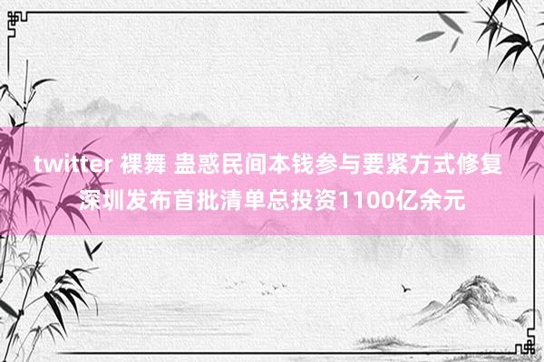 twitter 裸舞 蛊惑民间本钱参与要紧方式修复 深圳发布首批清单总投资1100亿余元